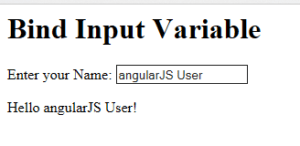 ngularJS bind input variable